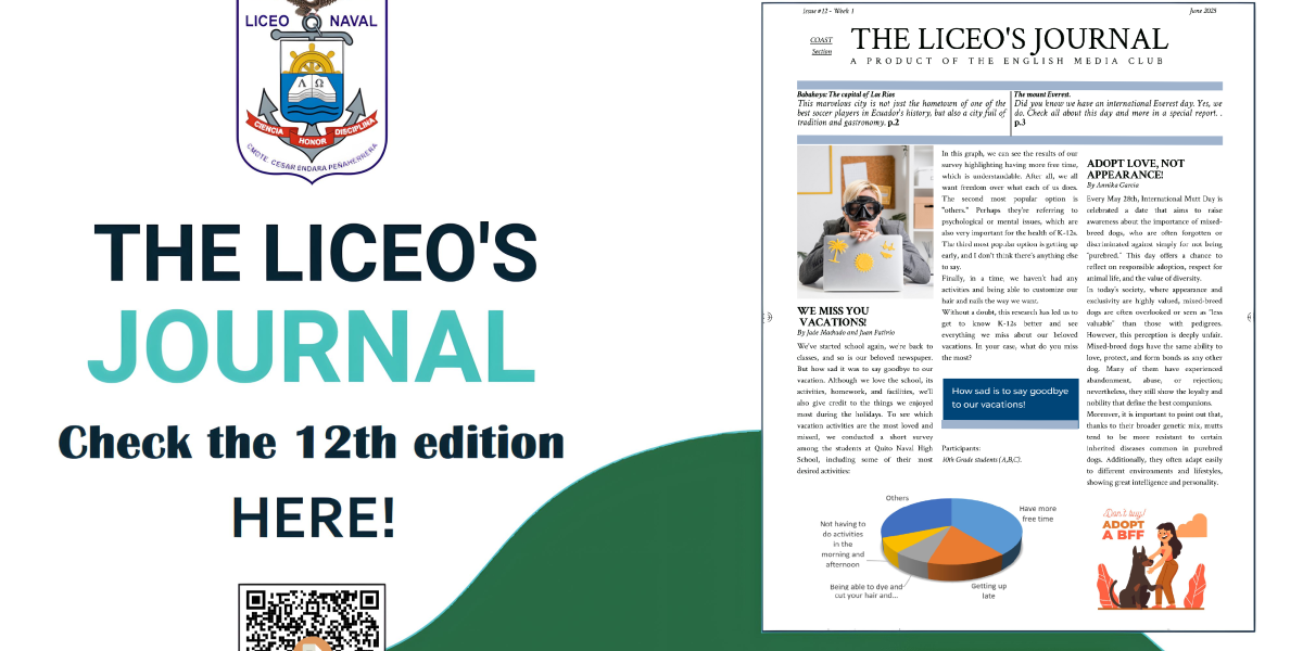 Liceo's Journal No.12 HDv2